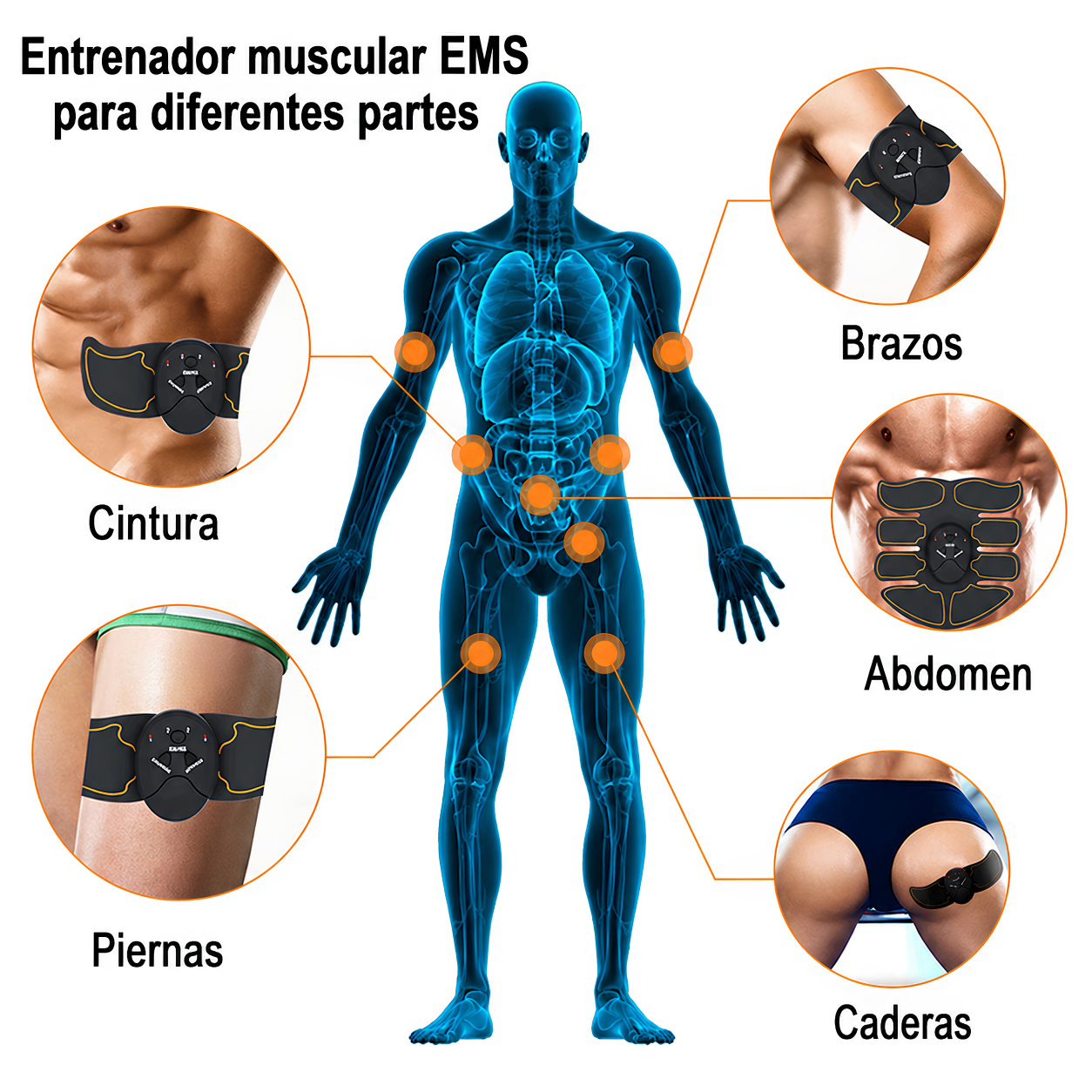 Estimulador Muscular Eléctrico